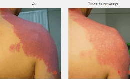 Фотогалерея фото 4 -