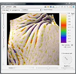 Фотогалерея фото 2 - 
